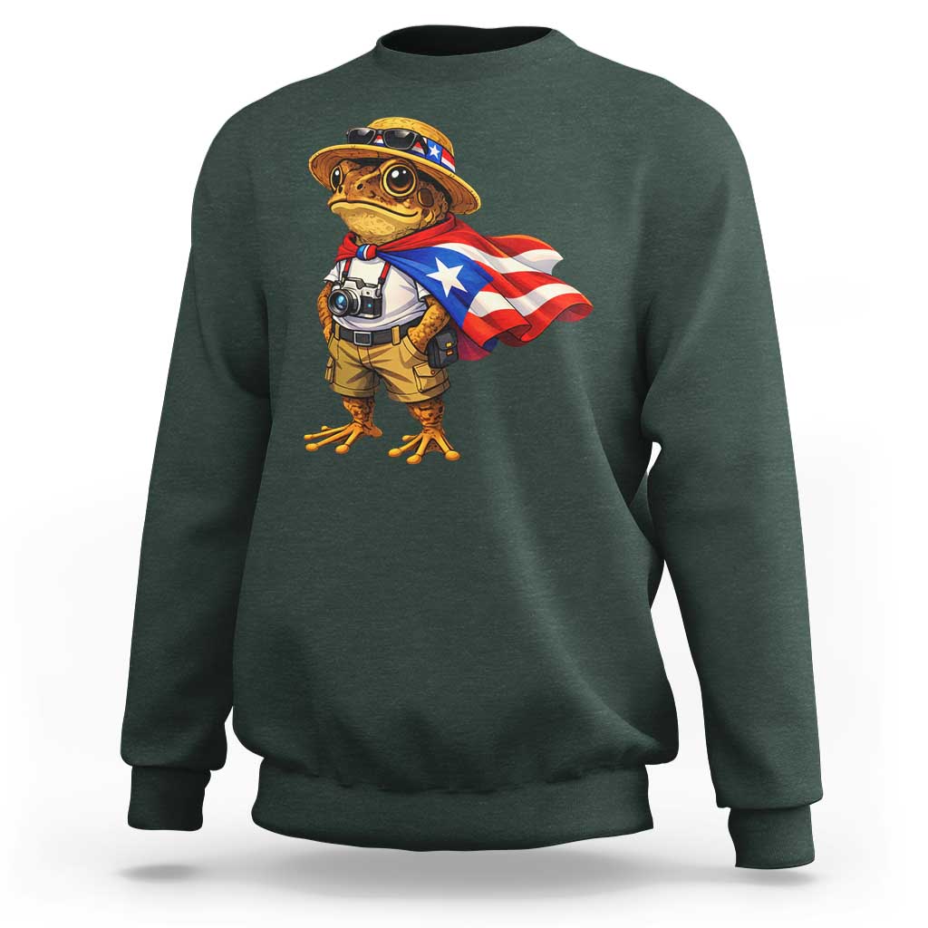 Coqui Frog Puerto Rico Flag Sweatshirt Puerto Rican Taino Boricua Vibes