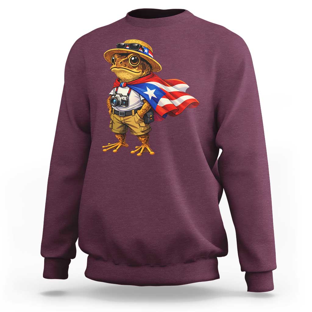 Coqui Frog Puerto Rico Flag Sweatshirt Puerto Rican Taino Boricua Vibes