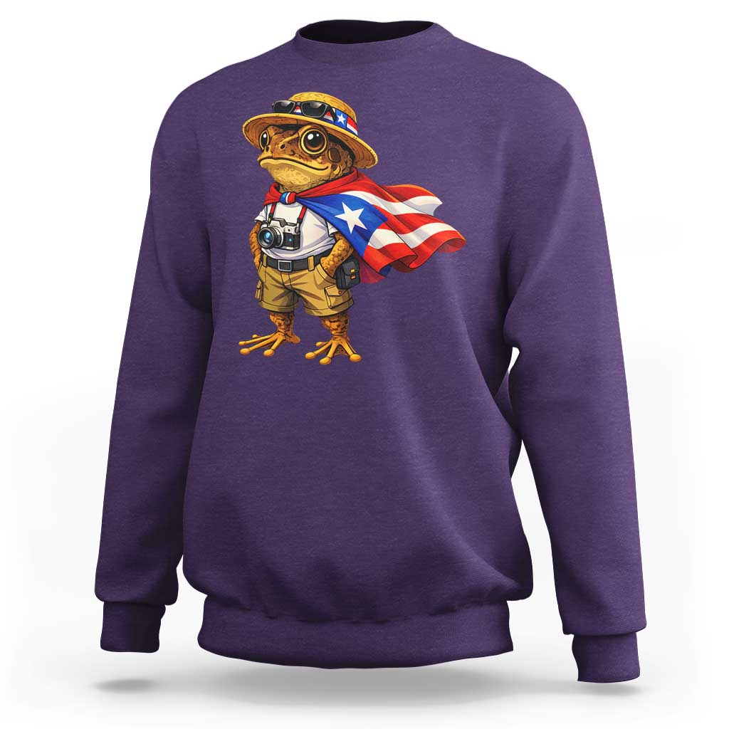 Coqui Frog Puerto Rico Flag Sweatshirt Puerto Rican Taino Boricua Vibes