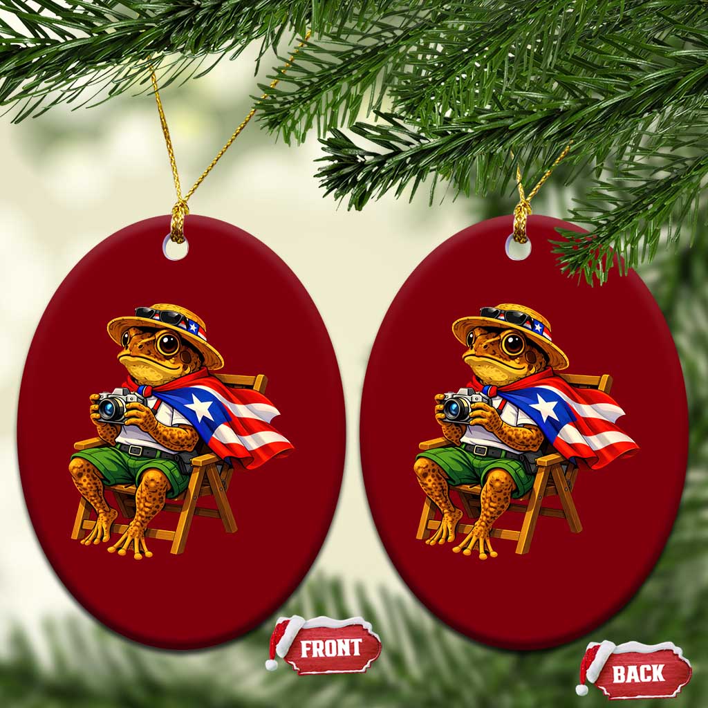 Funny Coqui Frog Puerto Rico Flag Ceramic Ornament Puerto Rican Taino Boricua Hispanic
