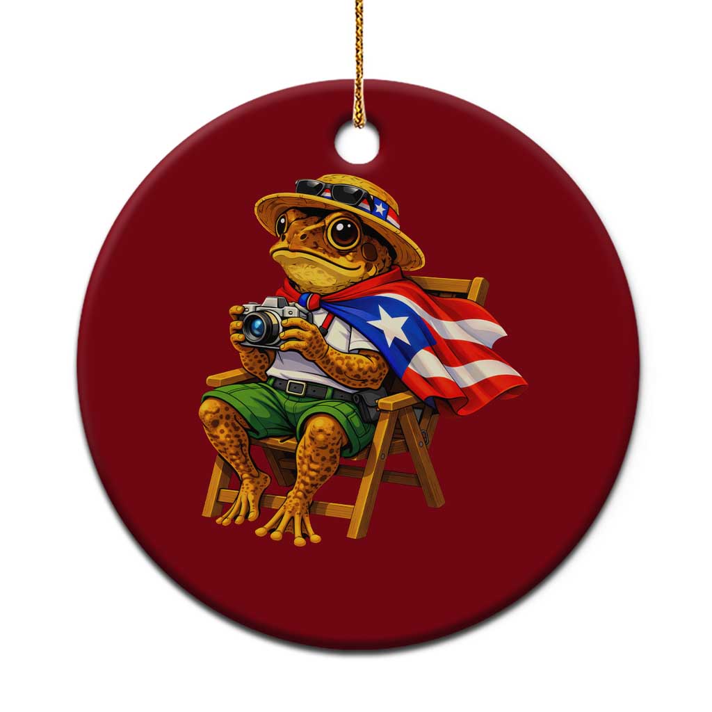Funny Coqui Frog Puerto Rico Flag Ceramic Ornament Puerto Rican Taino Boricua Hispanic