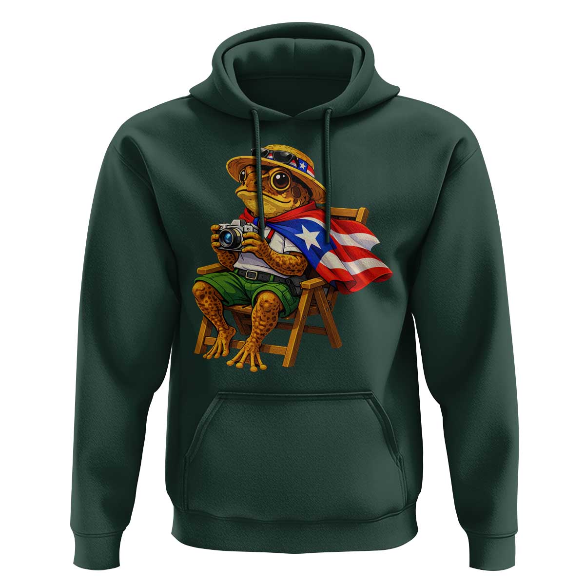 Funny Coqui Frog Puerto Rico Flag Hoodie Puerto Rican Taino Boricua Hispanic