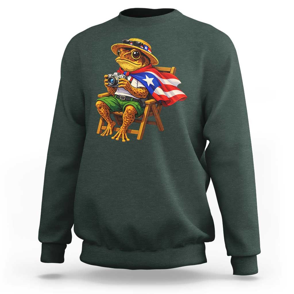 Funny Coqui Frog Puerto Rico Flag Sweatshirt Puerto Rican Taino Boricua Hispanic