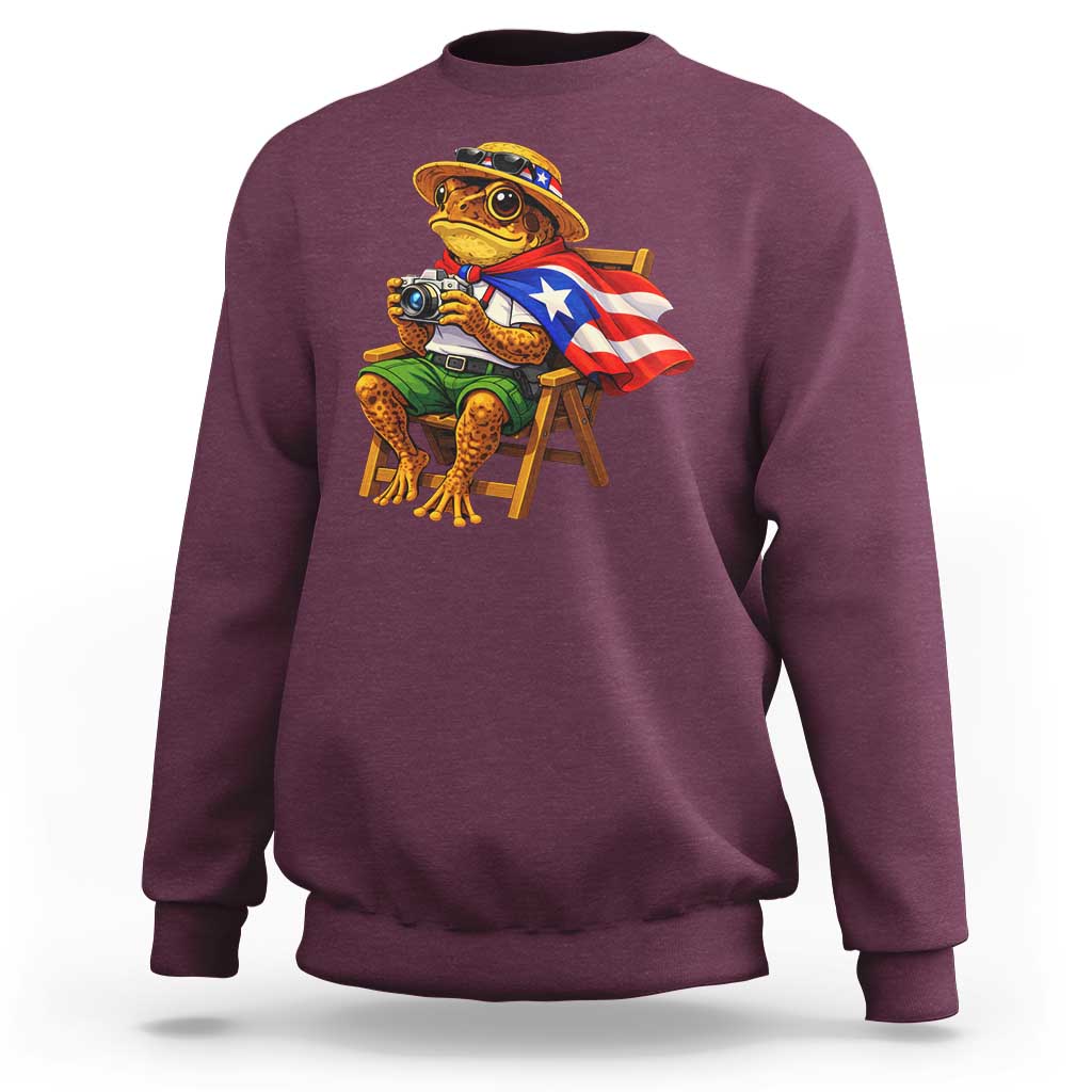 Funny Coqui Frog Puerto Rico Flag Sweatshirt Puerto Rican Taino Boricua Hispanic
