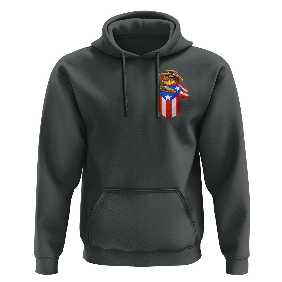 Funny Coqui Frog Puerto Rico Flag Hoodie Puerto Rican Taino Buricua Pocket Borinquen