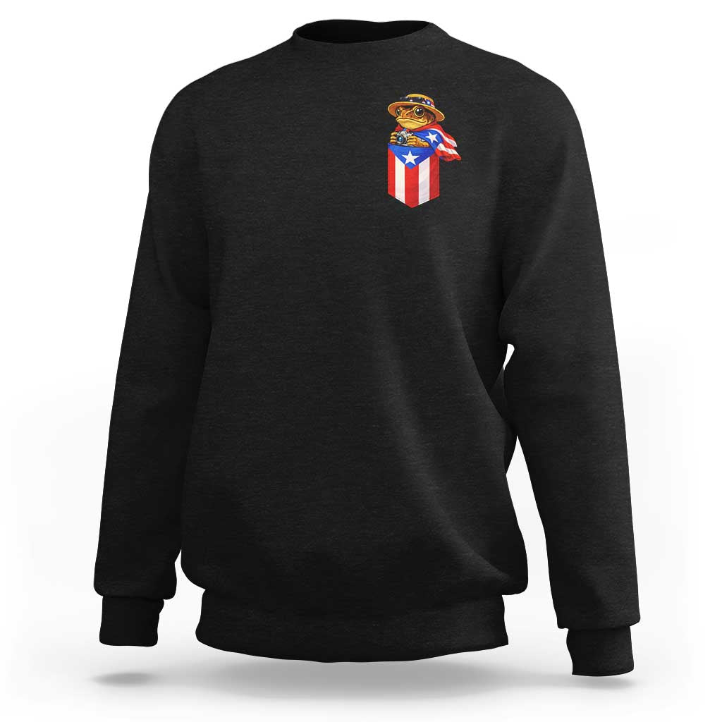 Funny Coqui Frog Puerto Rico Flag Sweatshirt Puerto Rican Taino Buricua Pocket Borinquen