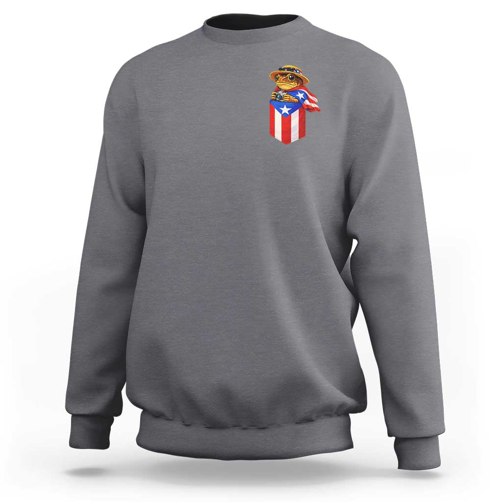 Funny Coqui Frog Puerto Rico Flag Sweatshirt Puerto Rican Taino Buricua Pocket Borinquen