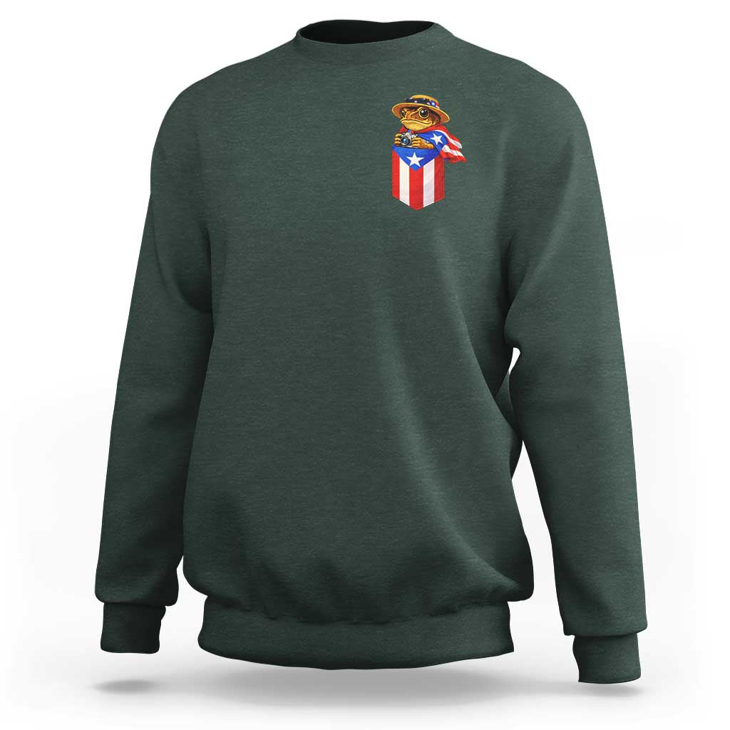 Funny Coqui Frog Puerto Rico Flag Sweatshirt Puerto Rican Taino Buricua Pocket Borinquen