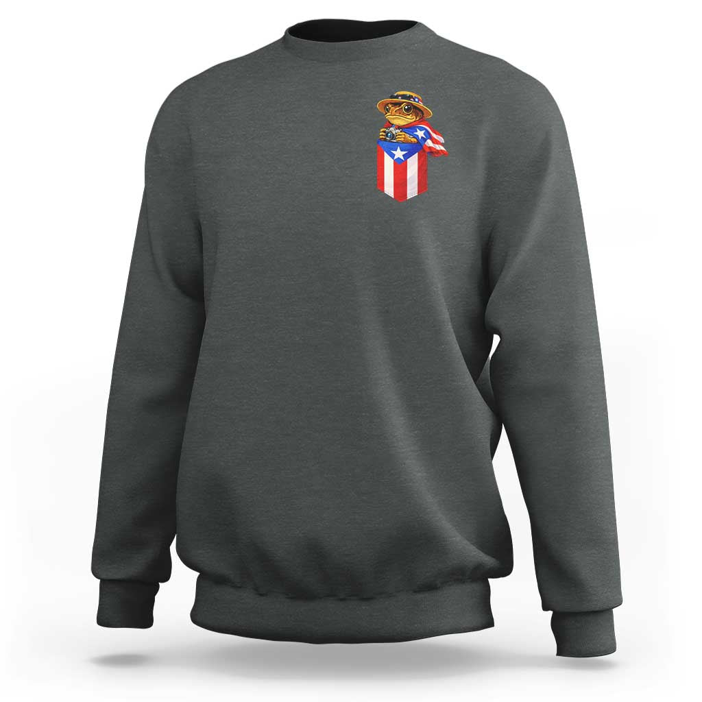 Funny Coqui Frog Puerto Rico Flag Sweatshirt Puerto Rican Taino Buricua Pocket Borinquen