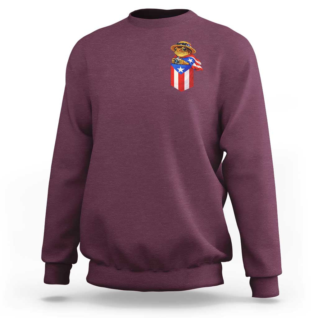 Funny Coqui Frog Puerto Rico Flag Sweatshirt Puerto Rican Taino Buricua Pocket Borinquen
