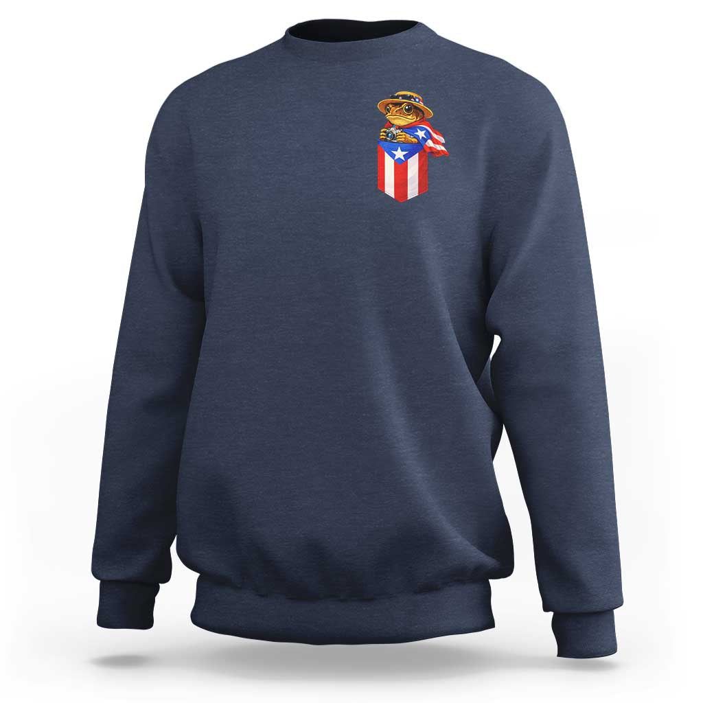 Funny Coqui Frog Puerto Rico Flag Sweatshirt Puerto Rican Taino Buricua Pocket Borinquen
