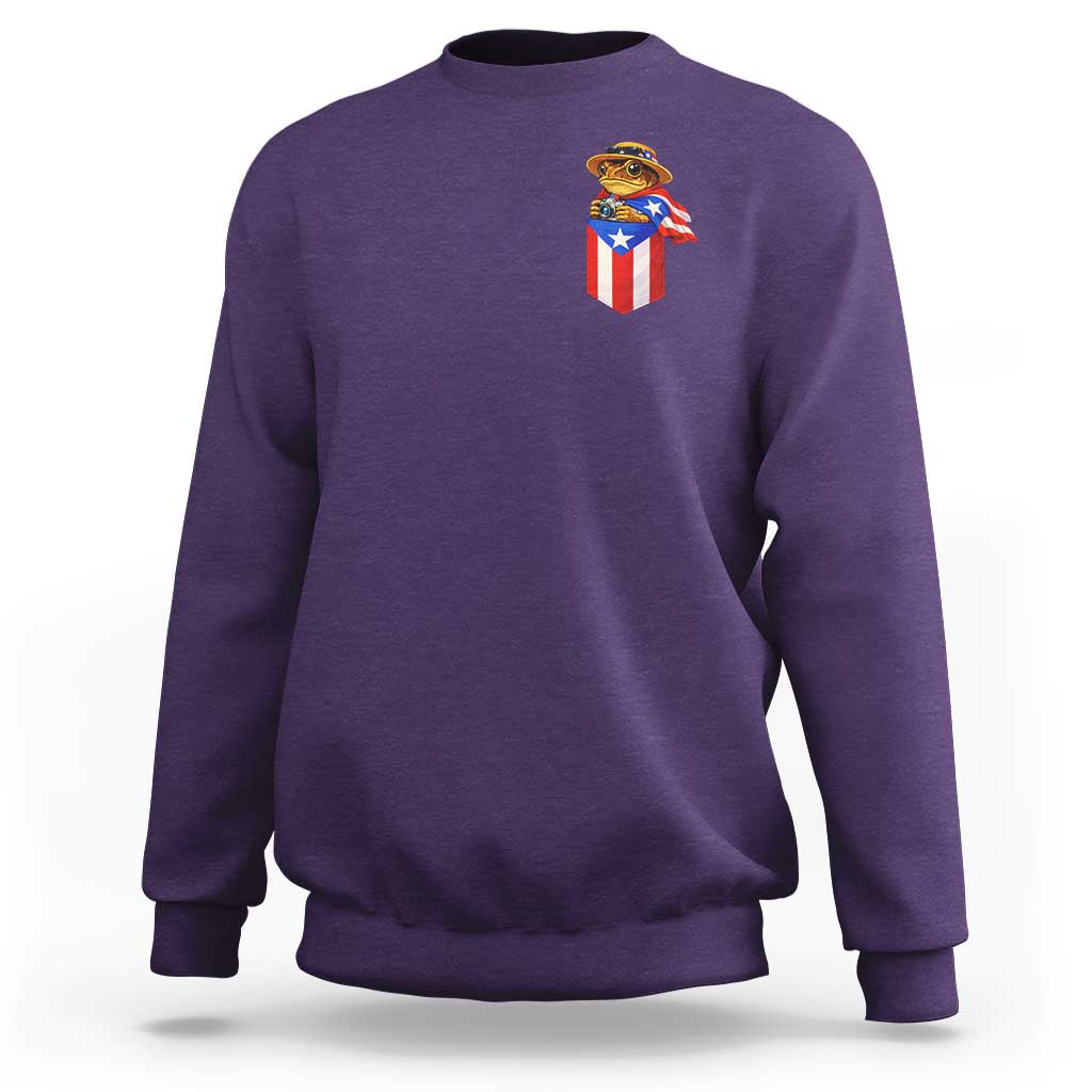 Funny Coqui Frog Puerto Rico Flag Sweatshirt Puerto Rican Taino Buricua Pocket Borinquen