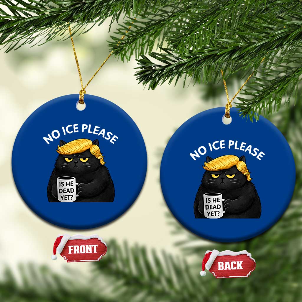 No ICE Protest Ceramic Ornament Is He Dead Yet Black Cat Meme