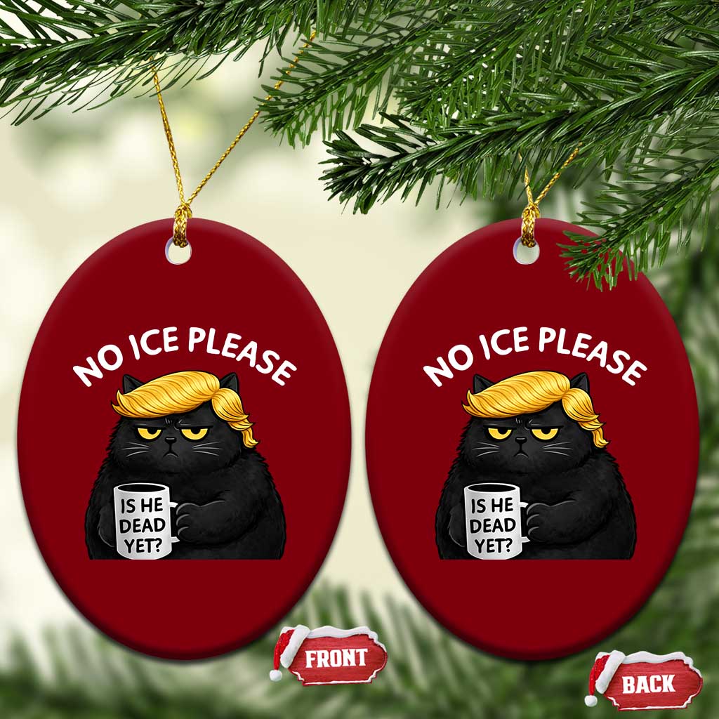 No ICE Protest Ceramic Ornament Is He Dead Yet Black Cat Meme