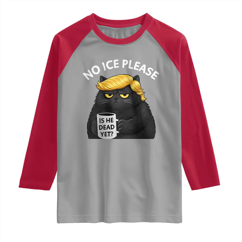 No ICE Protest Raglan Shirt Is He Dead Yet Black Cat Meme