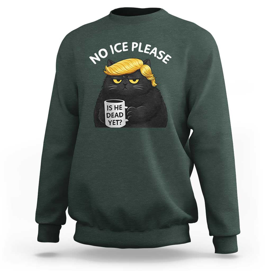 No ICE Protest Sweatshirt Is He Dead Yet Black Cat Meme