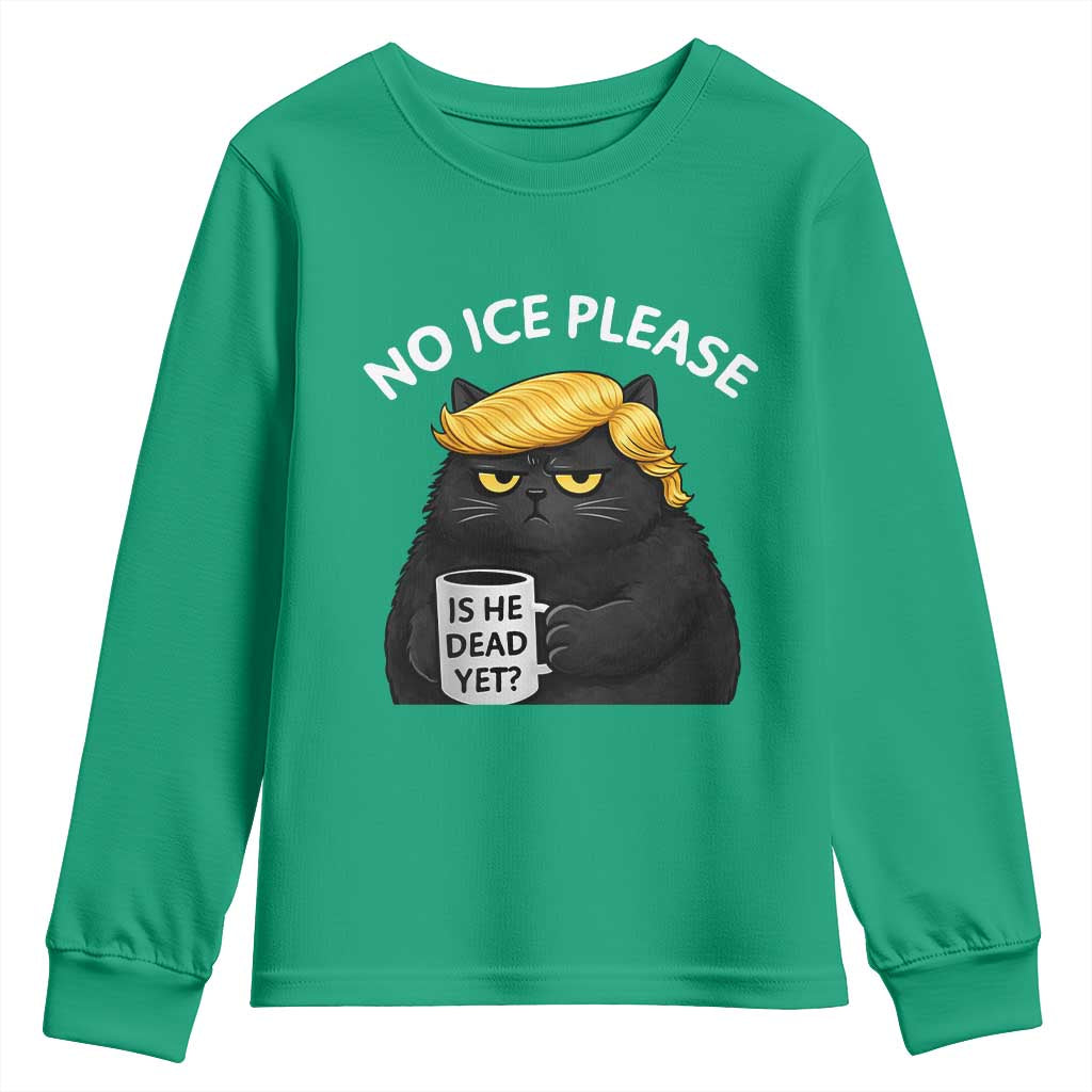 No ICE Protest Youth Sweatshirt Is He Dead Yet Black Cat Meme