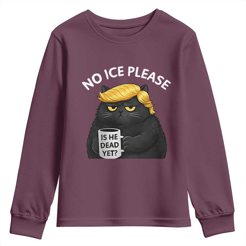 No ICE Protest Youth Sweatshirt Is He Dead Yet Black Cat Meme