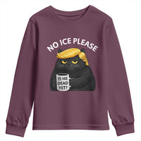 No ICE Protest Youth Sweatshirt Is He Dead Yet Black Cat Meme
