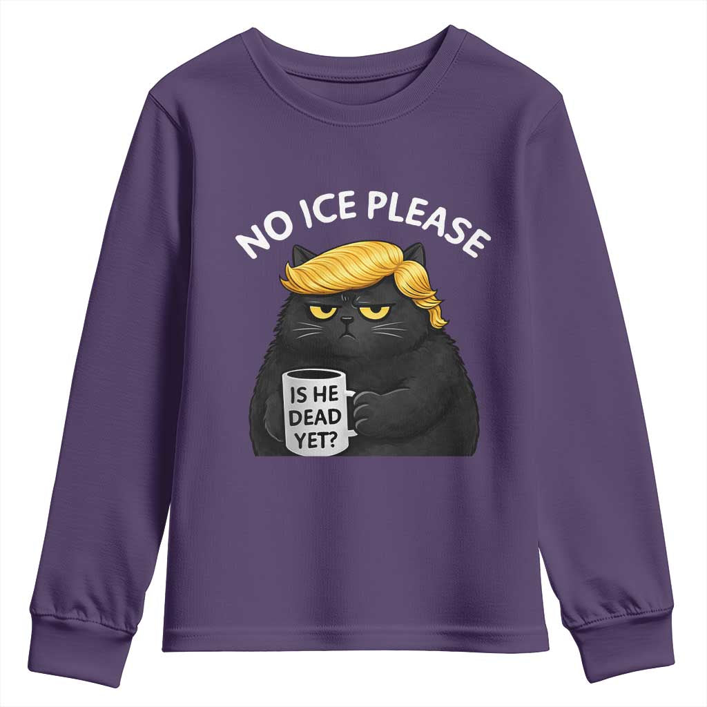 No ICE Protest Youth Sweatshirt Is He Dead Yet Black Cat Meme