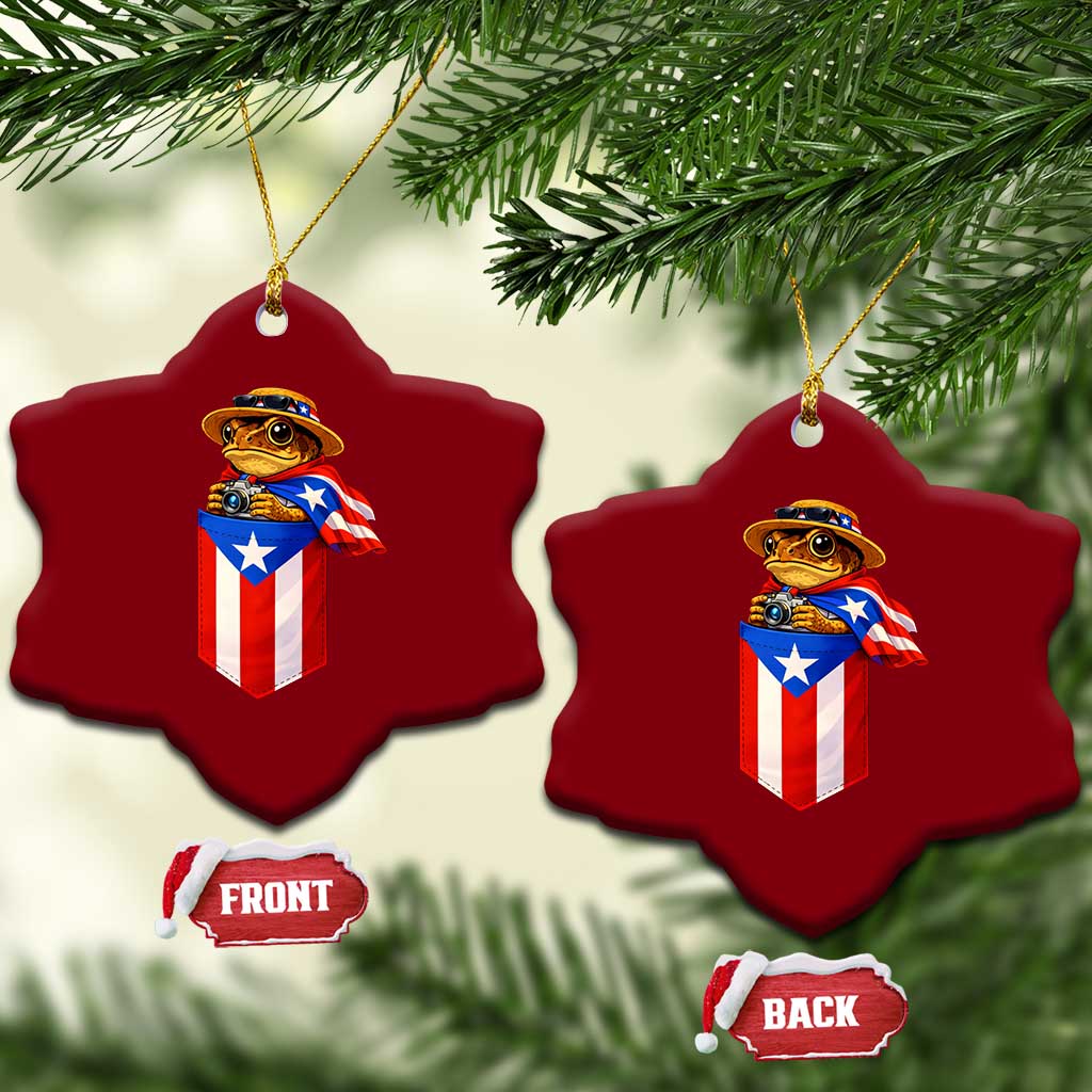 Funny Coqui Frog Puerto Rico Flag Ceramic Ornament Puerto Rican Taino Buricua Borinquen