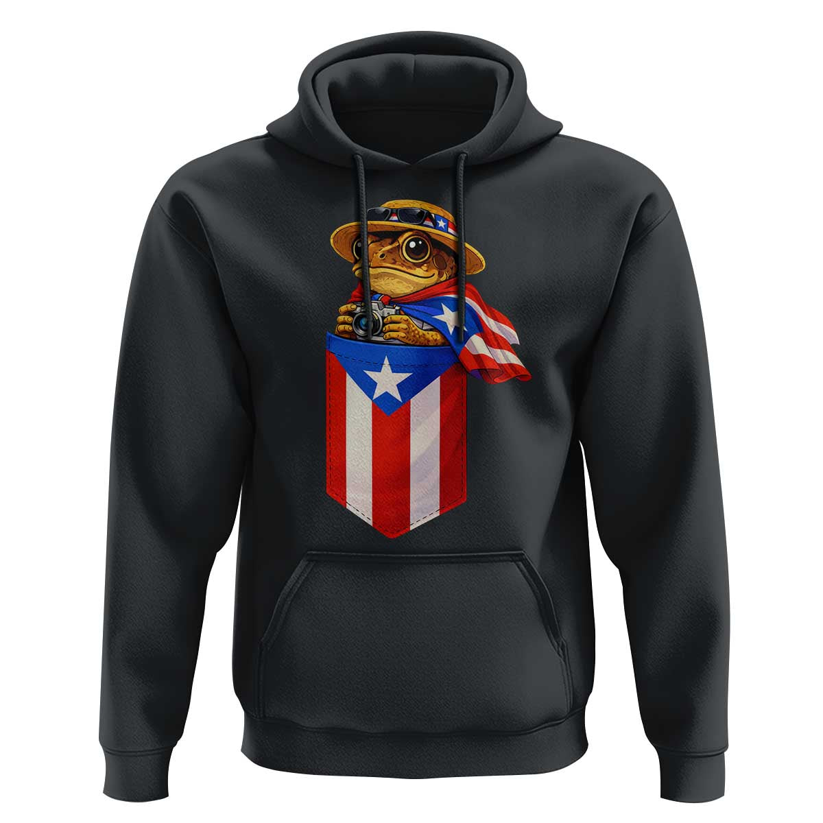 Funny Coqui Frog Puerto Rico Flag Hoodie Puerto Rican Taino Buricua Borinquen
