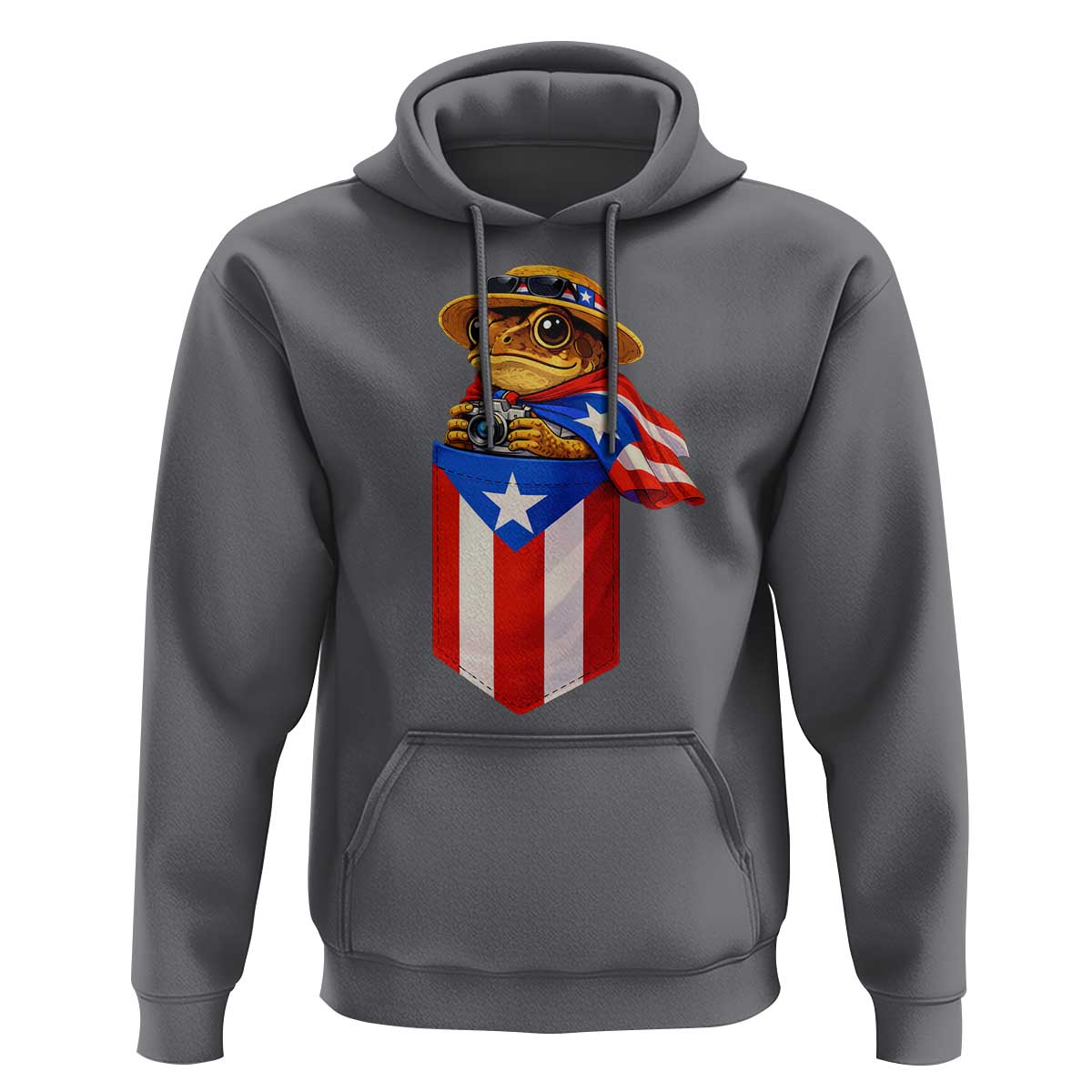 Funny Coqui Frog Puerto Rico Flag Hoodie Puerto Rican Taino Buricua Borinquen