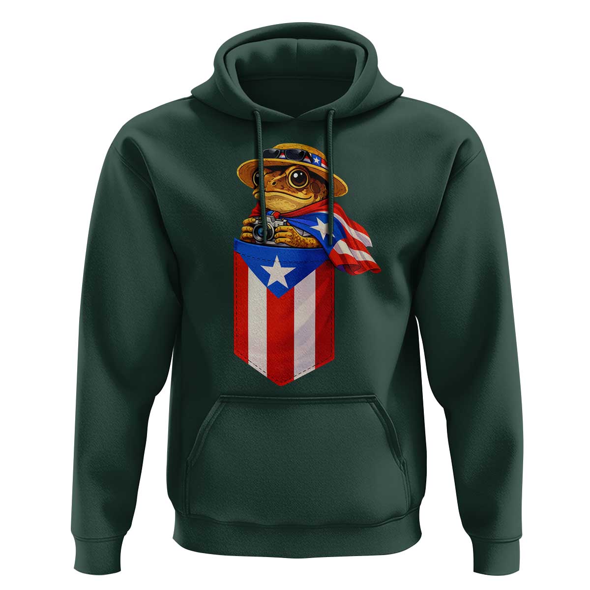 Funny Coqui Frog Puerto Rico Flag Hoodie Puerto Rican Taino Buricua Borinquen
