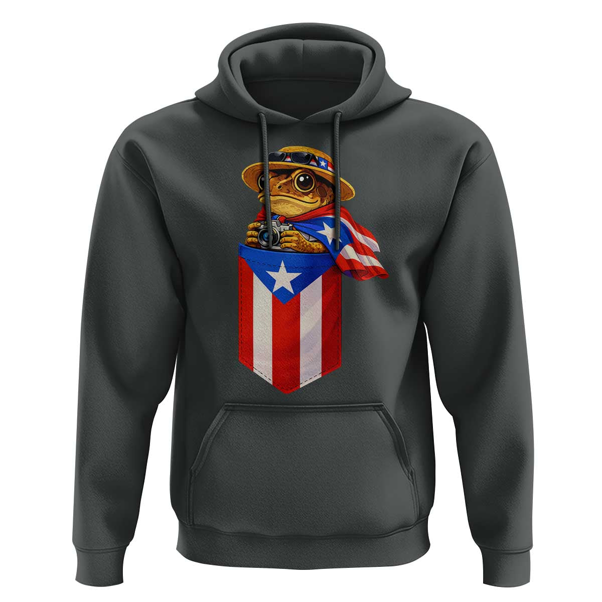 Funny Coqui Frog Puerto Rico Flag Hoodie Puerto Rican Taino Buricua Borinquen