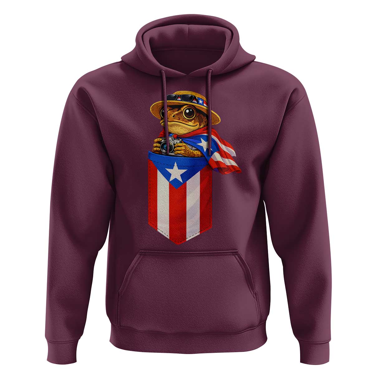 Funny Coqui Frog Puerto Rico Flag Hoodie Puerto Rican Taino Buricua Borinquen