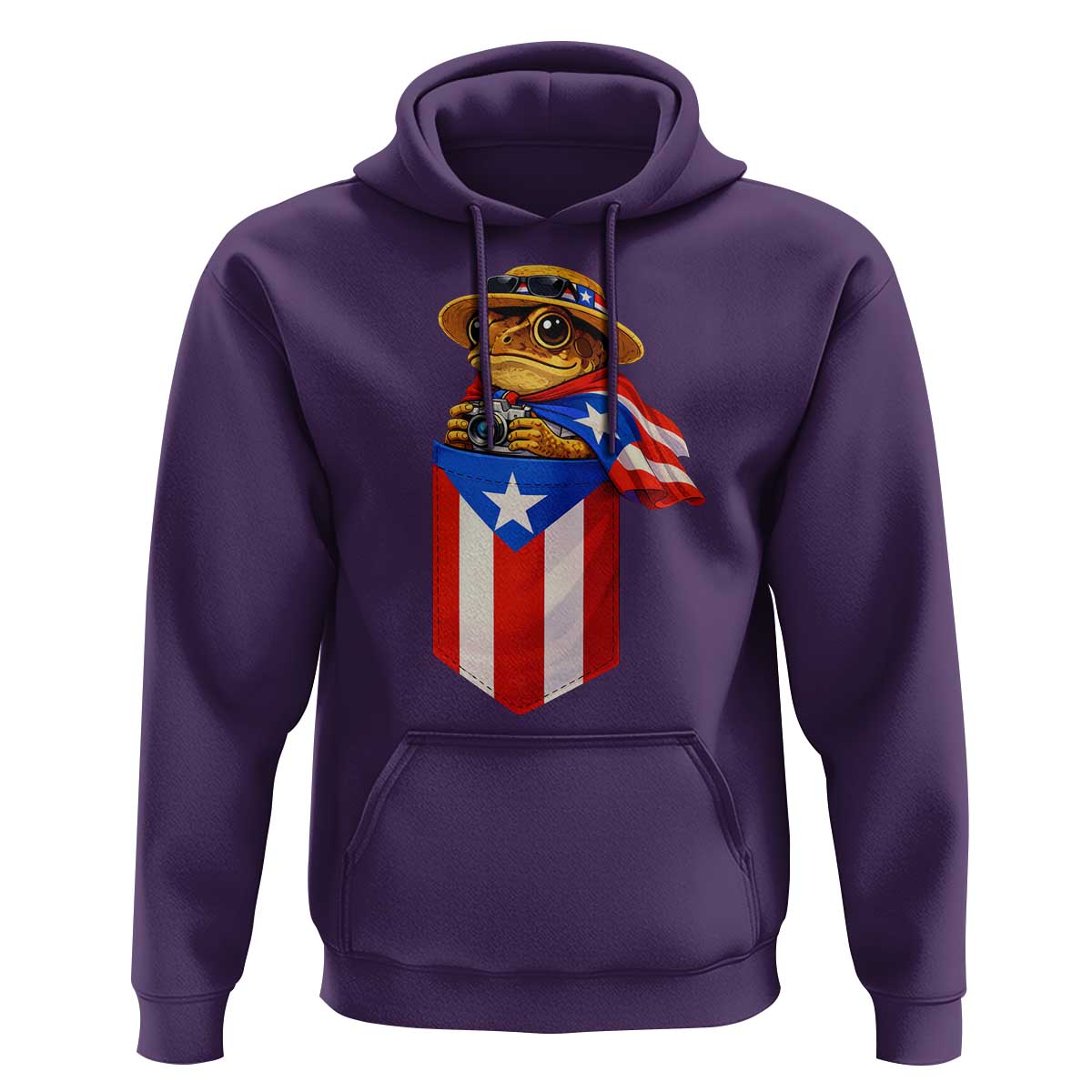 Funny Coqui Frog Puerto Rico Flag Hoodie Puerto Rican Taino Buricua Borinquen