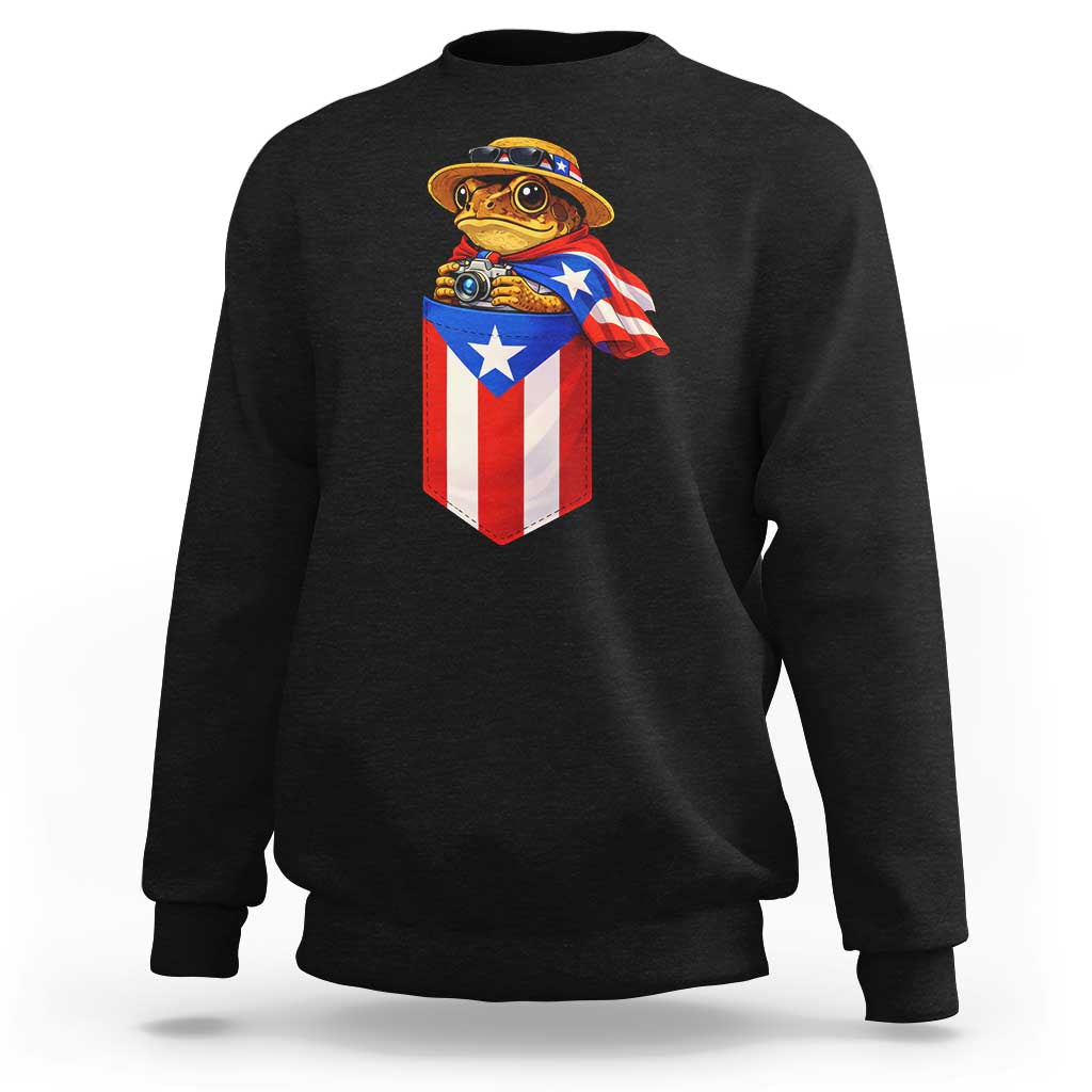 Funny Coqui Frog Puerto Rico Flag Sweatshirt Puerto Rican Taino Buricua Borinquen