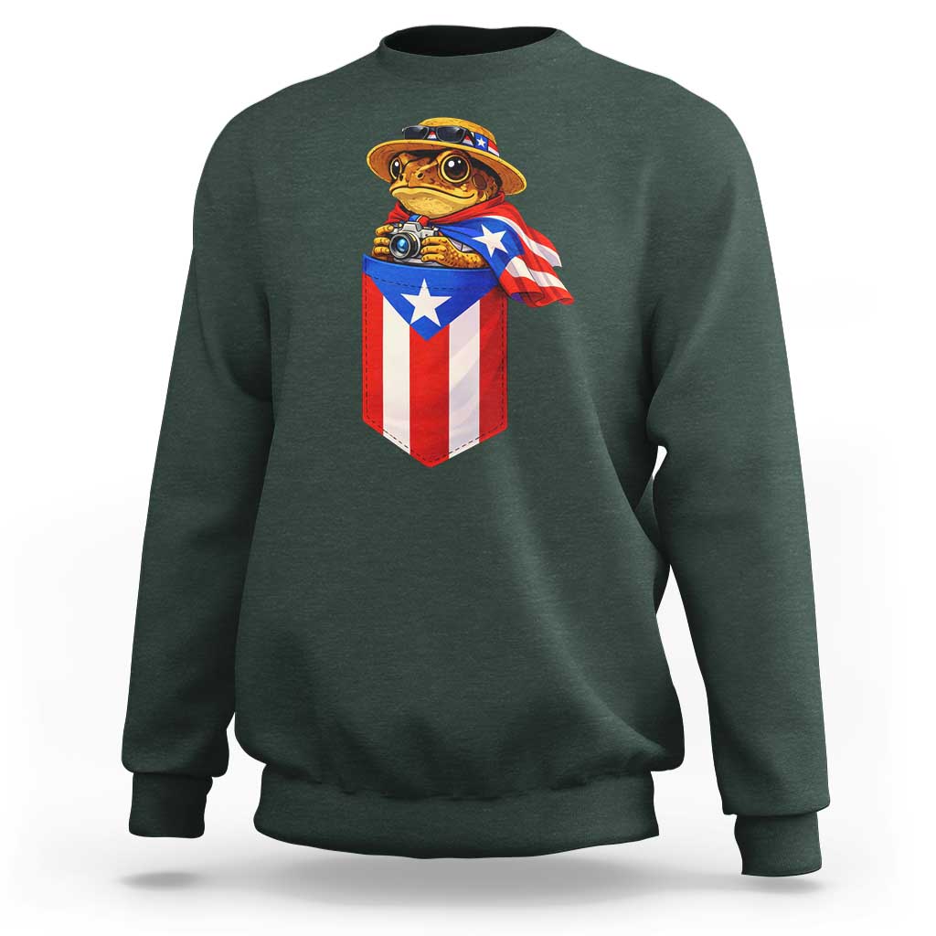 Funny Coqui Frog Puerto Rico Flag Sweatshirt Puerto Rican Taino Buricua Borinquen