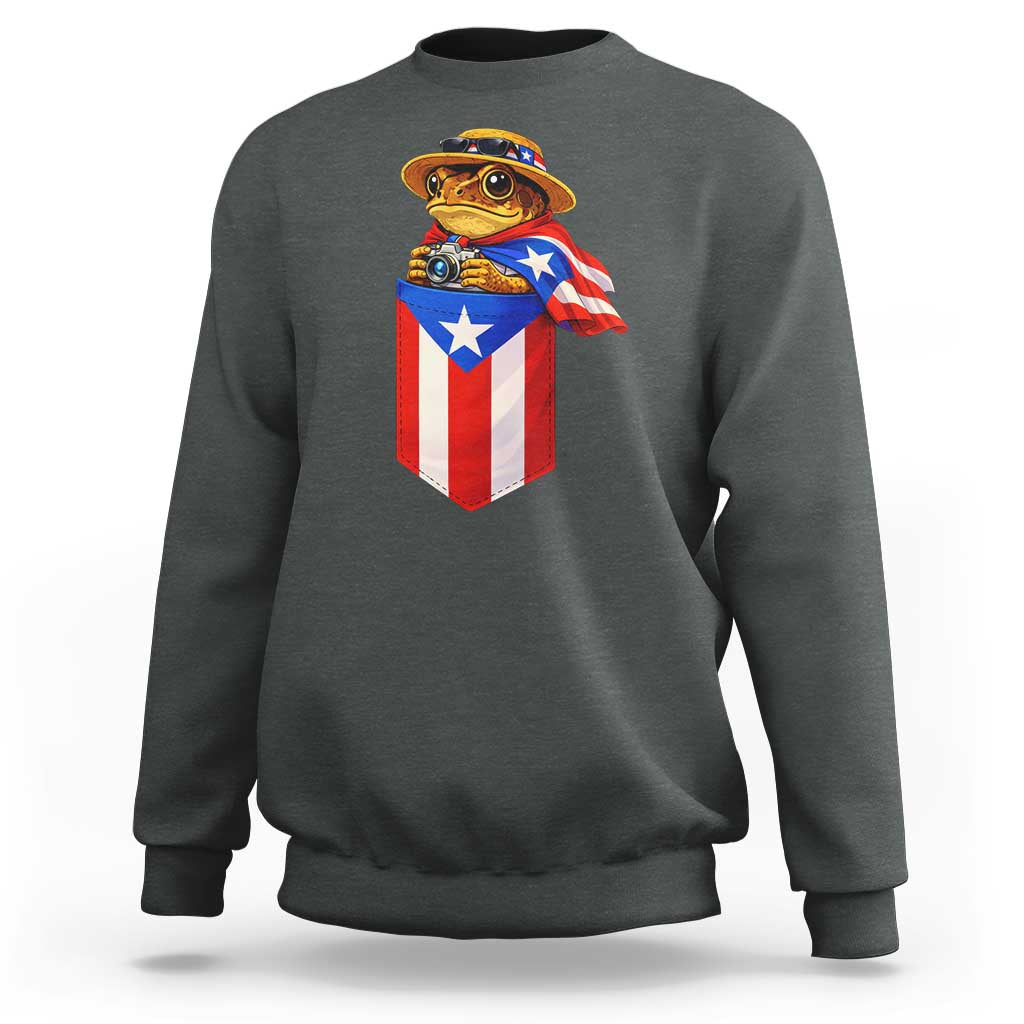 Funny Coqui Frog Puerto Rico Flag Sweatshirt Puerto Rican Taino Buricua Borinquen