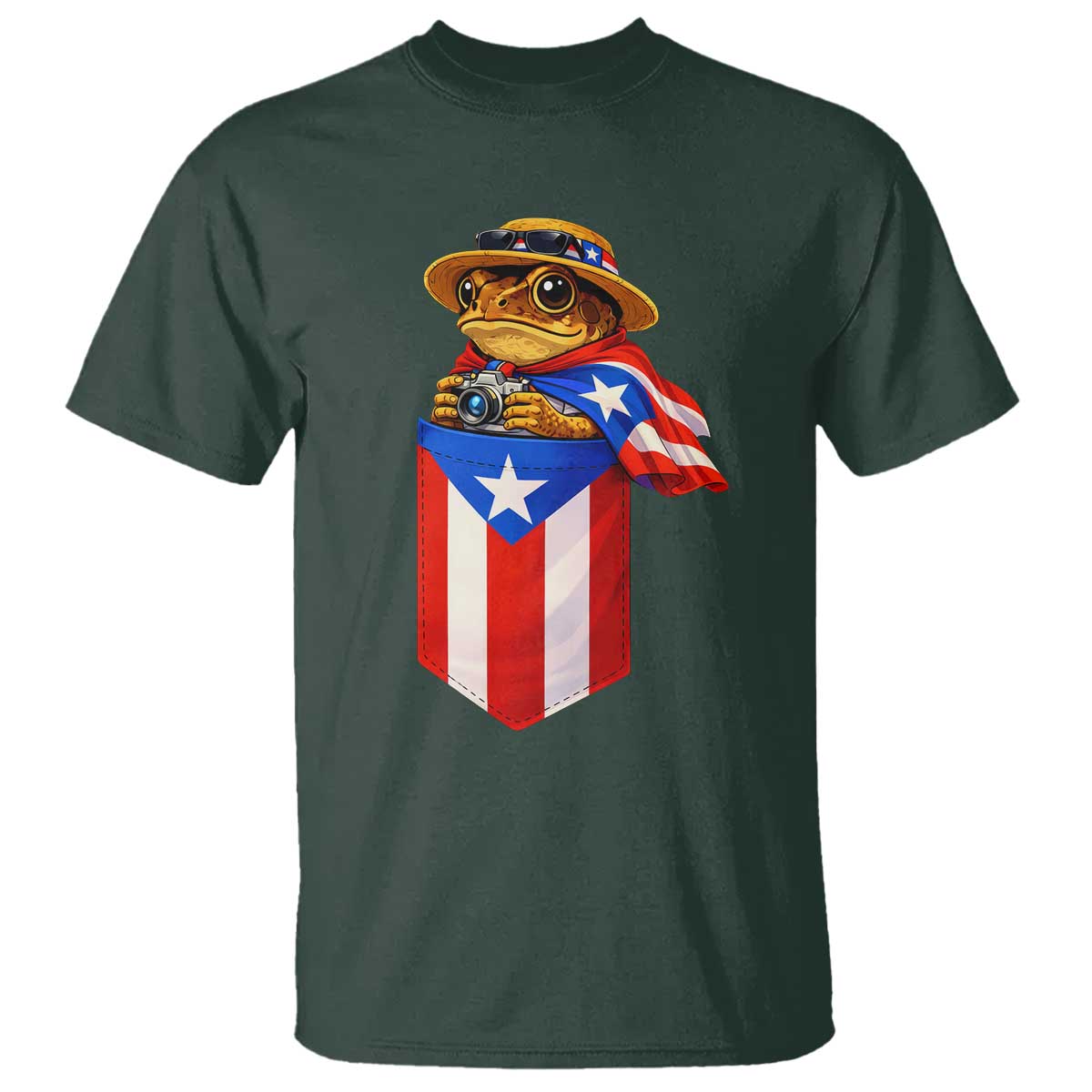 Funny Coqui Frog Puerto Rico Flag T Shirt Puerto Rican Taino Buricua Borinquen