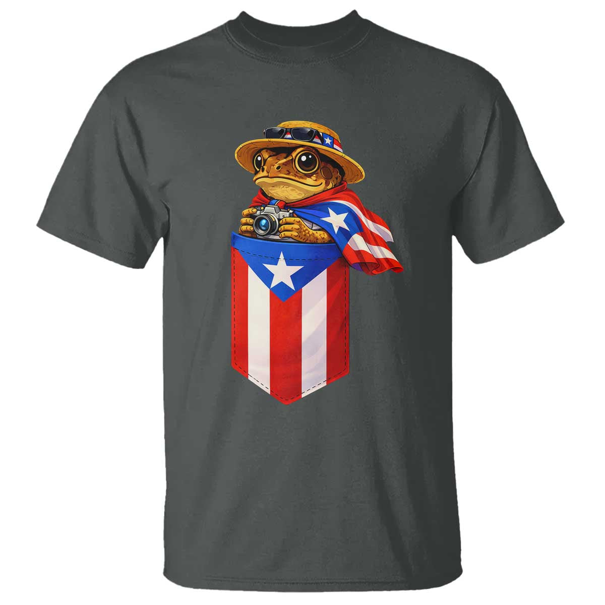 Funny Coqui Frog Puerto Rico Flag T Shirt Puerto Rican Taino Buricua Borinquen