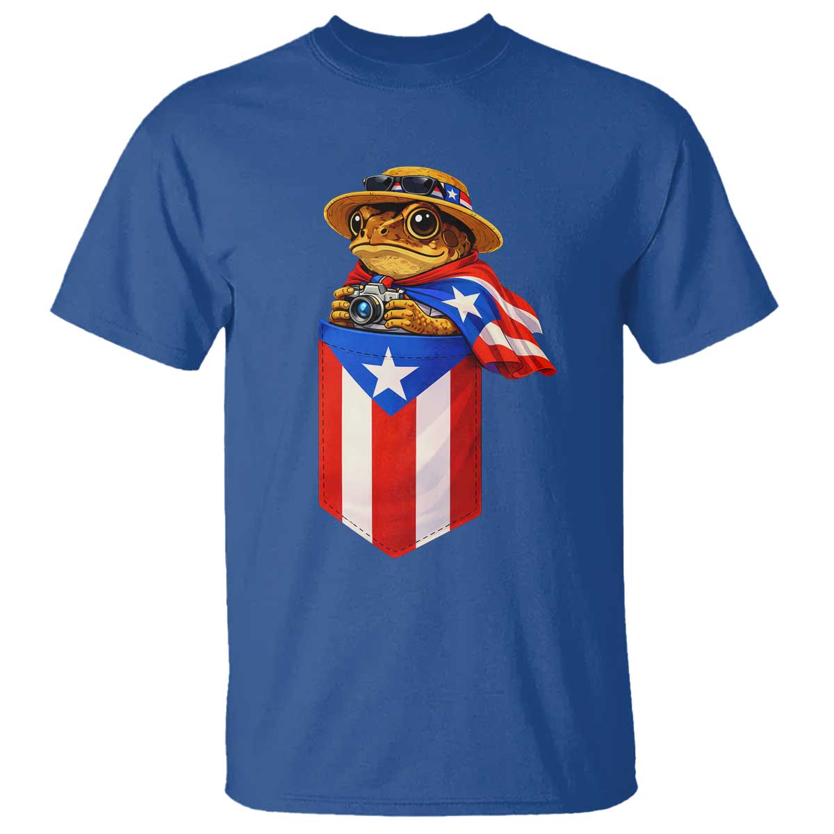 Funny Coqui Frog Puerto Rico Flag T Shirt Puerto Rican Taino Buricua Borinquen