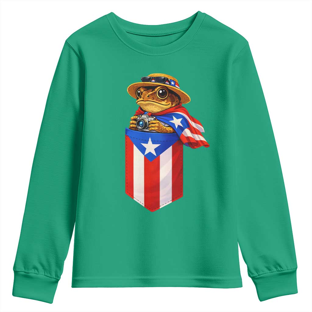 Funny Coqui Frog Puerto Rico Flag Youth Sweatshirt Puerto Rican Taino Buricua Borinquen