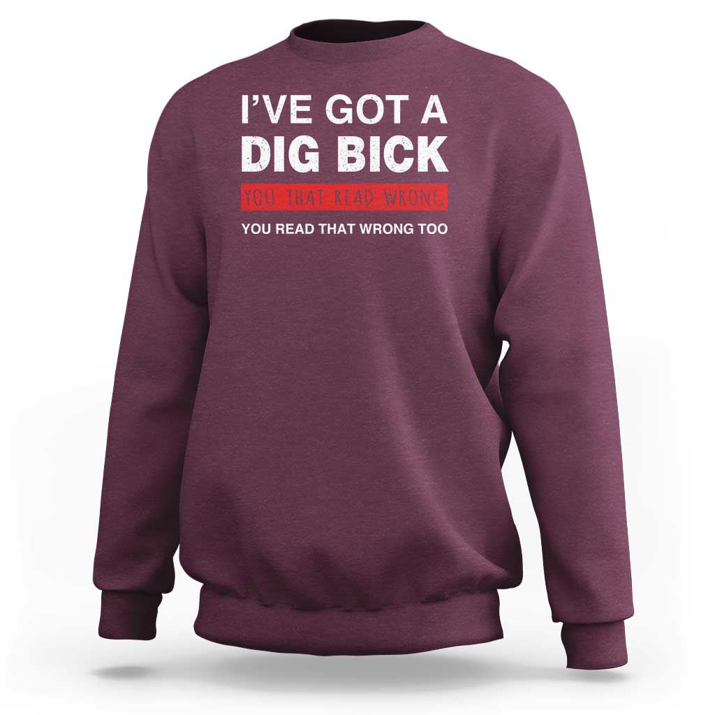 Funny Naughty Adult Humor Sweatshirt I've Got A Dig Bick You That Read Wrong You Read That Wrong Too - Wonder Print Shop