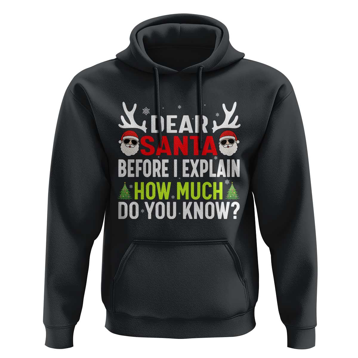 Funny Christmas Hoodie Dear Santa I Can Explain How Much Do You Know - Wonder Print Shop