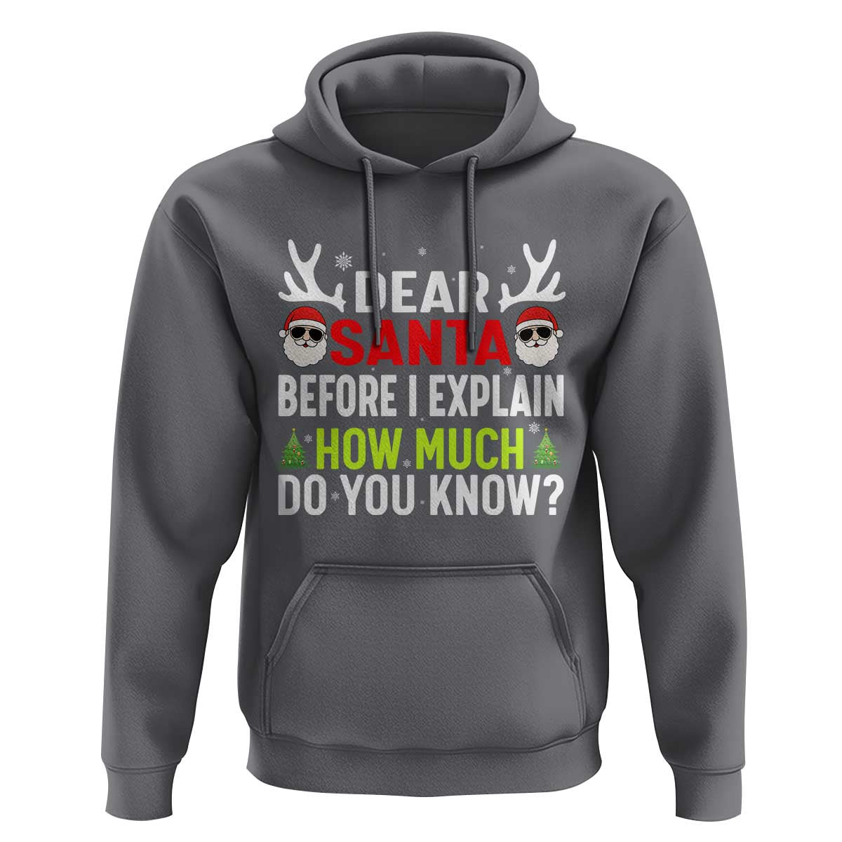 Funny Christmas Hoodie Dear Santa I Can Explain How Much Do You Know - Wonder Print Shop