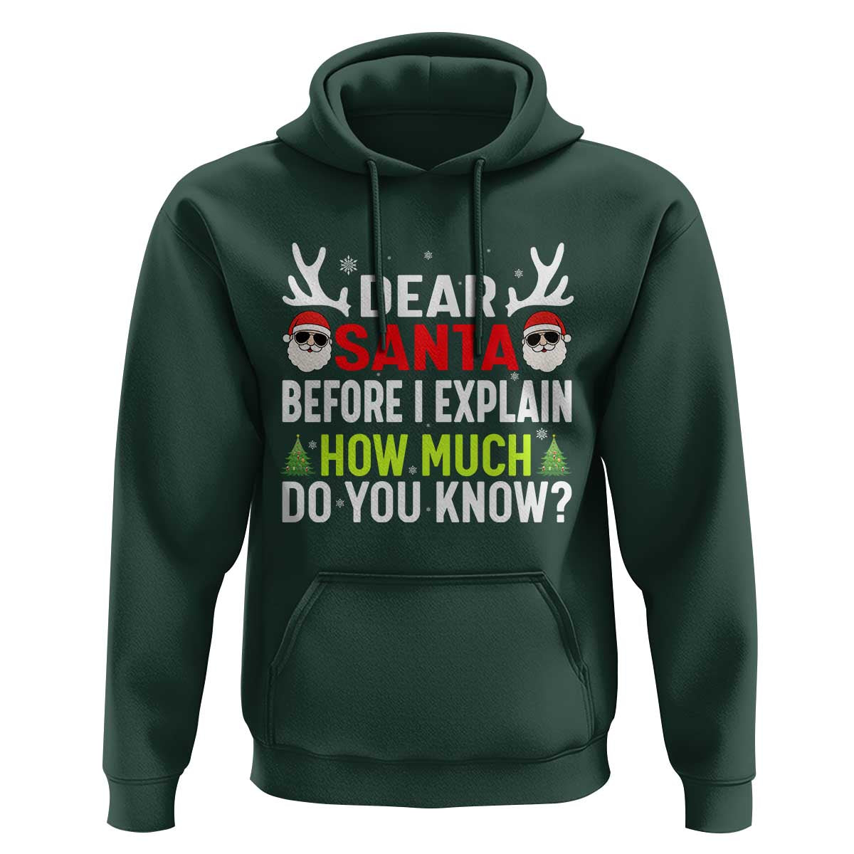 Funny Christmas Hoodie Dear Santa I Can Explain How Much Do You Know - Wonder Print Shop