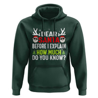 Funny Christmas Hoodie Dear Santa I Can Explain How Much Do You Know - Wonder Print Shop