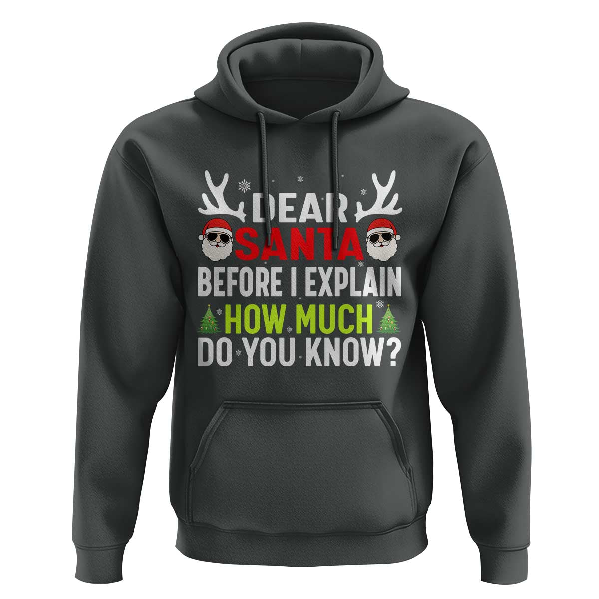 Funny Christmas Hoodie Dear Santa I Can Explain How Much Do You Know - Wonder Print Shop