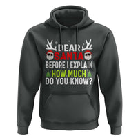 Funny Christmas Hoodie Dear Santa I Can Explain How Much Do You Know - Wonder Print Shop
