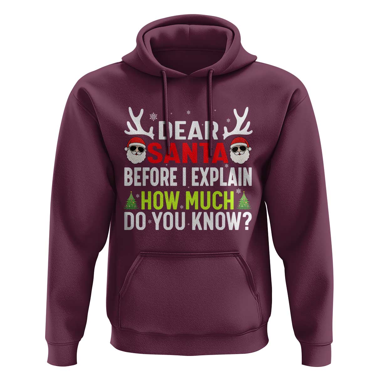 Funny Christmas Hoodie Dear Santa I Can Explain How Much Do You Know - Wonder Print Shop