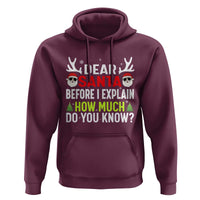 Funny Christmas Hoodie Dear Santa I Can Explain How Much Do You Know - Wonder Print Shop