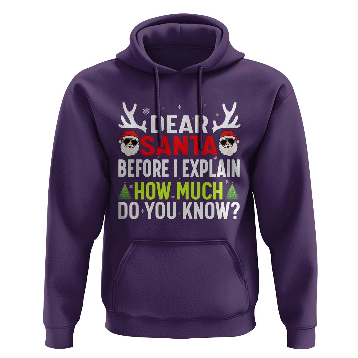 Funny Christmas Hoodie Dear Santa I Can Explain How Much Do You Know - Wonder Print Shop