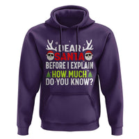 Funny Christmas Hoodie Dear Santa I Can Explain How Much Do You Know - Wonder Print Shop