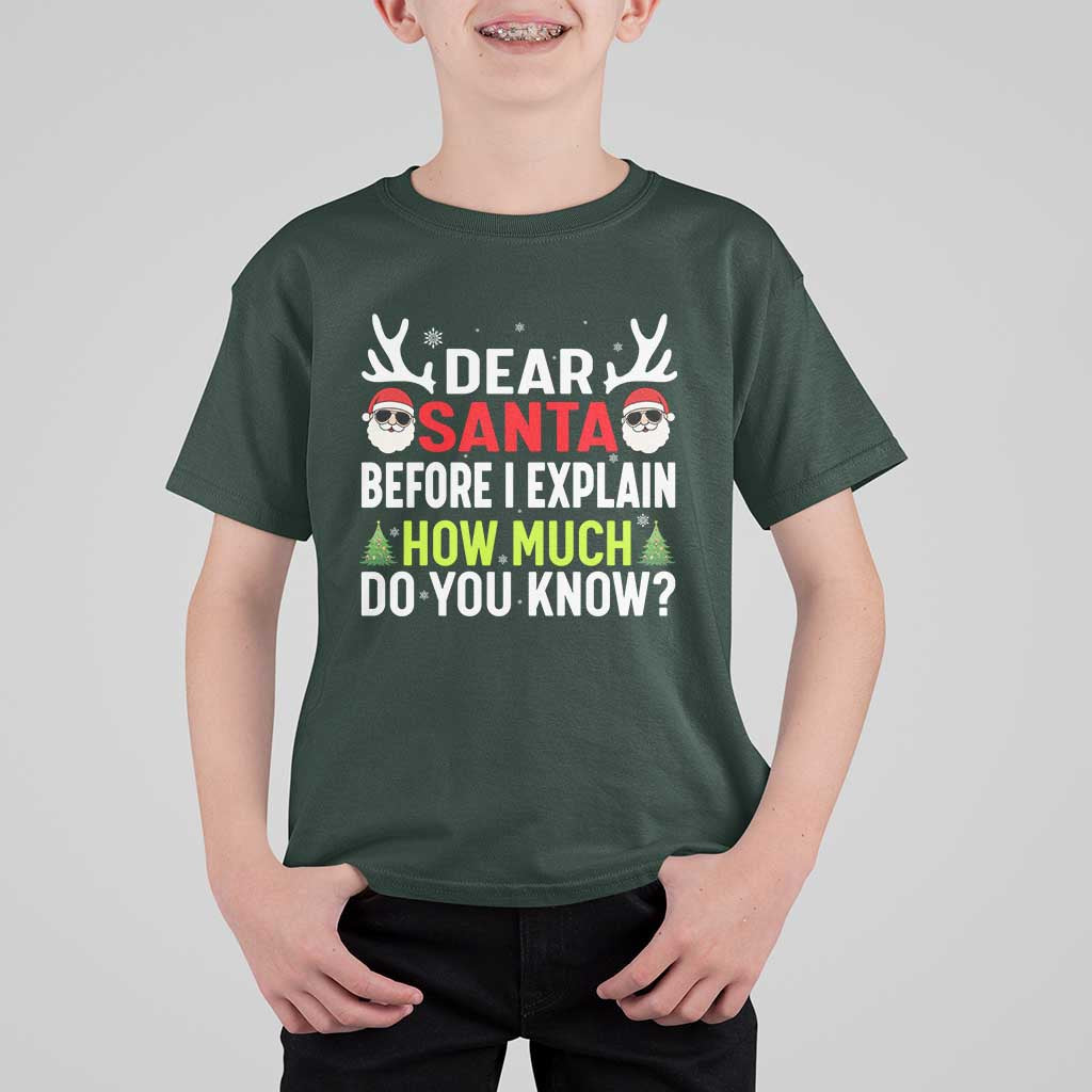 Funny Christmas T Shirt For Kid Dear Santa I Can Explain How Much Do You Know - Wonder Print Shop